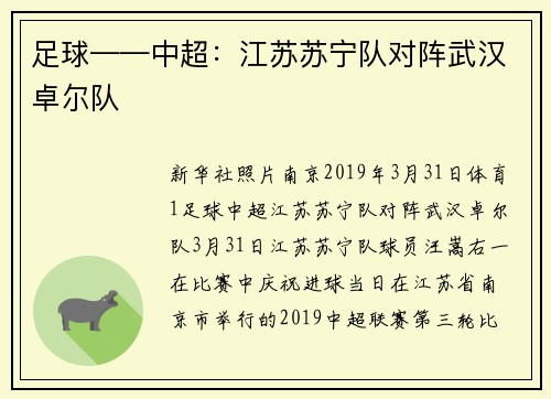 足球——中超:江苏苏宁队对阵武汉卓尔队